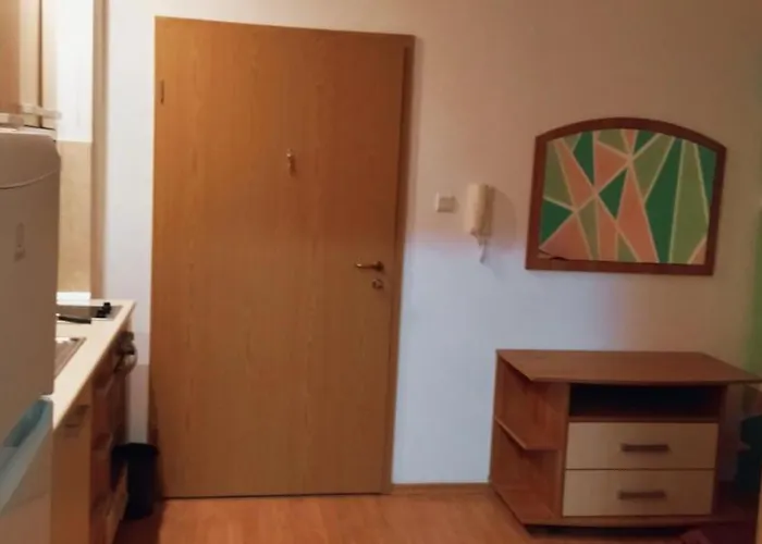 Jasna Oazis Равда